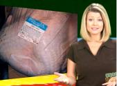 How To Buy A Turkey Video